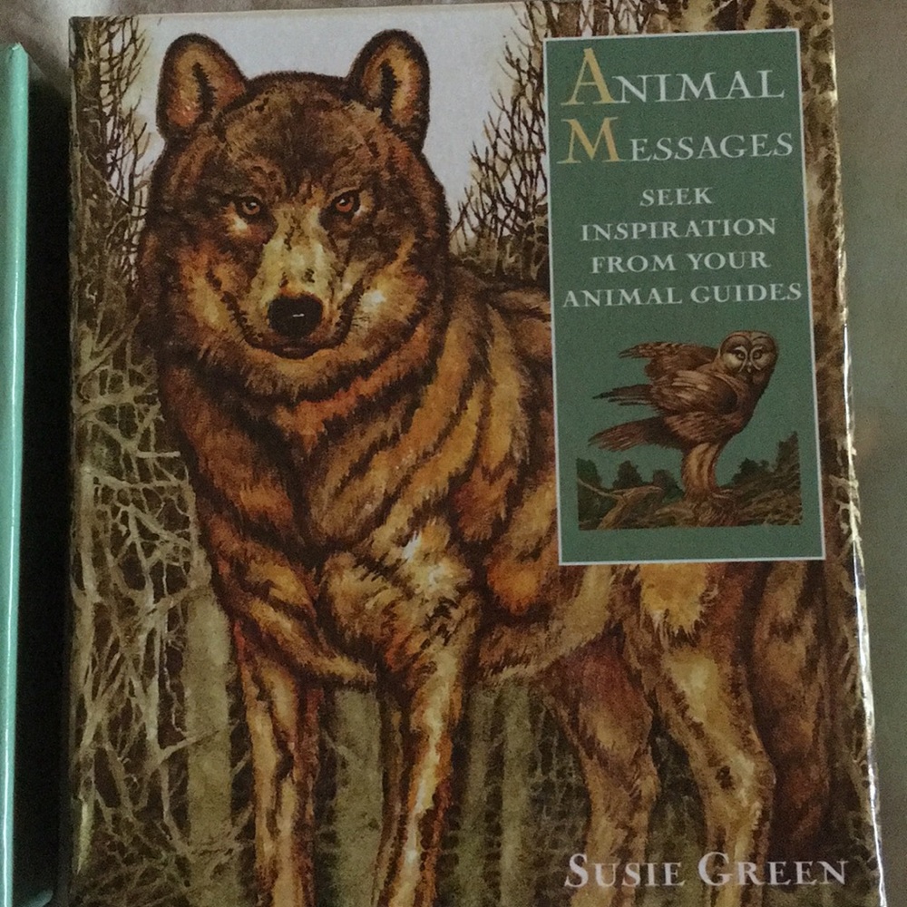 Animal Messages Oracle cards (Susie Green) w/ book